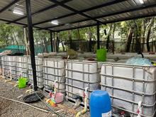 Cali avanza en el aprovechamiento de residuos org&aacute;nicos con composteras y plantas de compostaje: se tratan 315 toneladas al a&ntilde;o