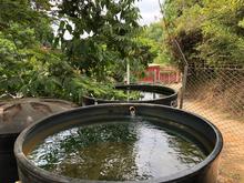 PTAP Los Comuneros - corregimiento La Buitrera