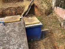 Vereda El Oto&ntilde;o, corregimiento La Buitrera