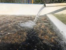 Alcald&iacute;a y Junta Administradora de Acueducto y Alcantarillado eval&uacute;an obras para mejorar el agua potable en zonas rurales de Cali