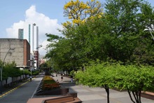 Cale&ntilde;os palpitar&aacute;n con la COP16 a trav&eacute;s de sus zonas extendidas: conozca detalles sobre el &lsquo;Circuito de la Biodiversidad 