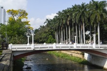 Cale&ntilde;os palpitar&aacute;n con la COP16 a trav&eacute;s de sus zonas extendidas: conozca detalles sobre el &lsquo;Circuito de la Biodiversidad 