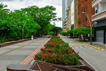 Cale&ntilde;os palpitar&aacute;n con la COP16 a trav&eacute;s de sus zonas extendidas: conozca detalles sobre el &lsquo;Circuito de la Biodiversidad 