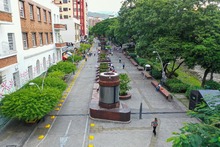 Cale&ntilde;os palpitar&aacute;n con la COP16 a trav&eacute;s de sus zonas extendidas: conozca detalles sobre el &lsquo;Circuito de la Biodiversidad 