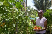 Esperanza y compromiso: los comedores comunitarios combaten el hambre y fortalecen el tejido social en Cali