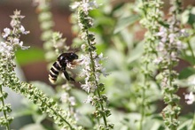 Una experiencia pedag&oacute;gica promueve el fortalecimiento de la comuna 18 de Cali como un territorio de paz ambiental