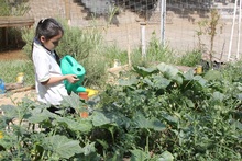 Una experiencia pedag&oacute;gica promueve el fortalecimiento de la comuna 18 de Cali como un territorio de paz ambiental