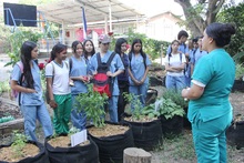 Una experiencia pedag&oacute;gica promueve el fortalecimiento de la comuna 18 de Cali como un territorio de paz ambiental