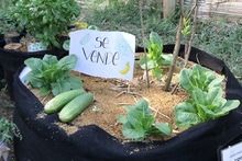 Una experiencia pedag&oacute;gica promueve el fortalecimiento de la comuna 18 de Cali como un territorio de paz ambiental