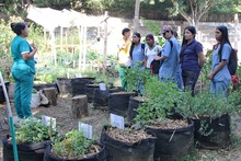 Una experiencia pedag&oacute;gica promueve el fortalecimiento de la comuna 18 de Cali como un territorio de paz ambiental