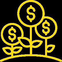 Estructura financiera