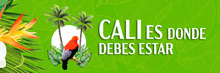 Cali es donde debes estar 