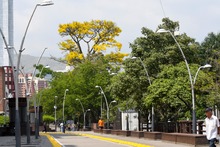 &lsquo;Cali, Capital Mundial de la Biodiversidad&rsquo;: as&iacute; se llama el video que lanza el Dagma para la COP16 