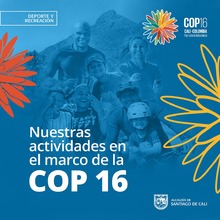 Actividades deportivas en el marco de la Cop16 Cali 2024