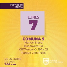 Jornada esterilizaci&oacute;n 