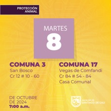 Jornada esterilizaci&oacute;n 