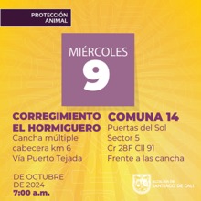 Jornada esterilizaci&oacute;n 