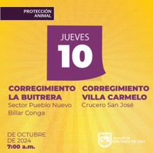 Jornada esterilizaci&oacute;n 