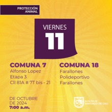 Jornada esterilizaci&oacute;n 