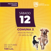 Jornada esterilizaci&oacute;n