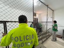 Dagma recuper&oacute; un tigrillo que se encontraba cautivo en un conjunto  residencial al sur de Cali