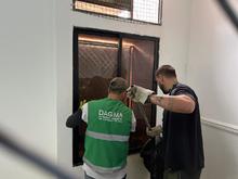 Dagma recuper&oacute; un tigrillo que se encontraba cautivo en un conjunto  residencial al sur de Cali