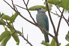 Estudiantes de colegios p&uacute;blicos y privados pueden participar del concurso  de fotograf&iacute;a &lsquo;La Escuela: Captura la Biodiversidad&rsquo;