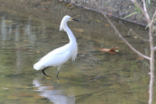 Estudiantes de colegios p&uacute;blicos y privados pueden participar del concurso  de fotograf&iacute;a &lsquo;La Escuela: Captura la Biodiversidad&rsquo;