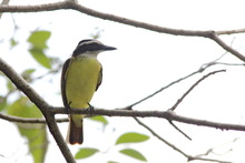 Estudiantes de colegios p&uacute;blicos y privados pueden participar del concurso  de fotograf&iacute;a &lsquo;La Escuela: Captura la Biodiversidad&rsquo;