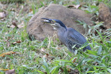 Estudiantes de colegios p&uacute;blicos y privados pueden participar del concurso  de fotograf&iacute;a &lsquo;La Escuela: Captura la Biodiversidad&rsquo;