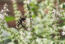 Estudiantes de colegios p&uacute;blicos y privados pueden participar del concurso  de fotograf&iacute;a &lsquo;La Escuela: Captura la Biodiversidad&rsquo;