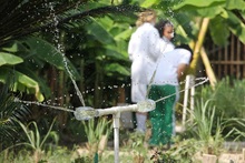 &ldquo;La huerta es un territorio de paz: un espacio donde se aprende para la vida&rdquo;: docente de la Instituci&oacute;n Educativa Siete de Agosto