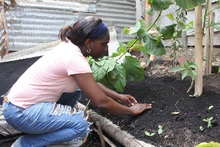 &ldquo;La huerta es un territorio de paz: un espacio donde se aprende para la vida&rdquo;: docente de la Instituci&oacute;n Educativa Siete de Agosto