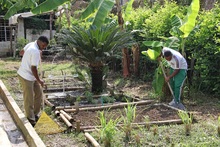 &ldquo;La huerta es un territorio de paz: un espacio donde se aprende para la vida&rdquo;: docente de la Instituci&oacute;n Educativa Siete de Agosto