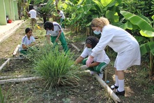 &ldquo;La huerta es un territorio de paz: un espacio donde se aprende para la vida&rdquo;: docente de la Instituci&oacute;n Educativa Siete de Agosto