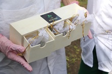 &ldquo;La huerta es un territorio de paz: un espacio donde se aprende para la vida&rdquo;: docente de la Instituci&oacute;n Educativa Siete de Agosto