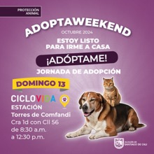 Jornada de adopci&oacute;n 13 de octubre 