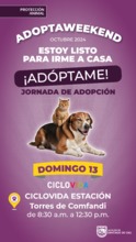 Jornada de adopci&oacute;n 13 de octubre his