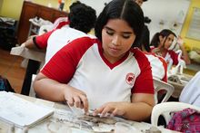 En la COP16, paz y arte son el cuento de Cali