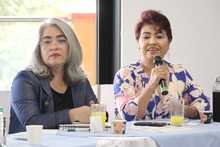 &iexcl;Progr&aacute;mese! As&iacute; ser&aacute; la agenda acad&eacute;mica durante la COP16