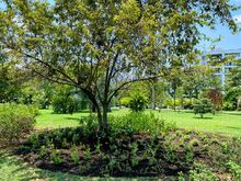 Dagma conmemor&oacute; el &lsquo;D&iacute;a Internacional del &Aacute;rbol&rsquo; en el bosque urbano de La Hacienda