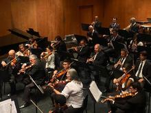 El Teatro Municipal Enrique Buenaventura se une a la COP16 con una agenda acad&eacute;mica y cultural destacada