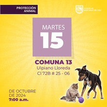 Jornada de esterilizaci&oacute;n del 15 de octubre 