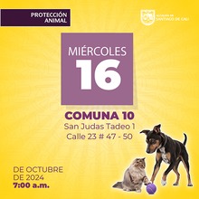 Jornada de esterilizaci&oacute;n del 16 de octubre 
