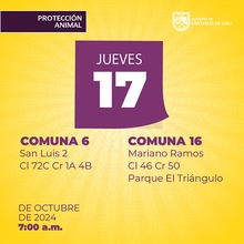 Jornada de esterilizaci&oacute;n del 17 de octubre 