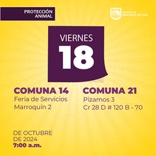 Jornada de esterilizaci&oacute;n del 18 de octubre 