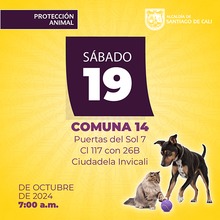 Jornada de esterilizaci&oacute;n del 19 de octubre 