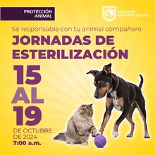 15 al 19 de octubre pub