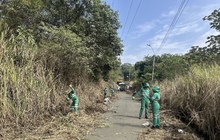  M&aacute;s de 40 toneladas de residuos mixtos se recolectaron en la v&iacute;a que conecta a Silo&eacute; con el corregimiento de Los Andes