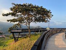 Alcald&iacute;a de Cali anuncia periodo de alistamiento para el Ecoparque Cristo Rey